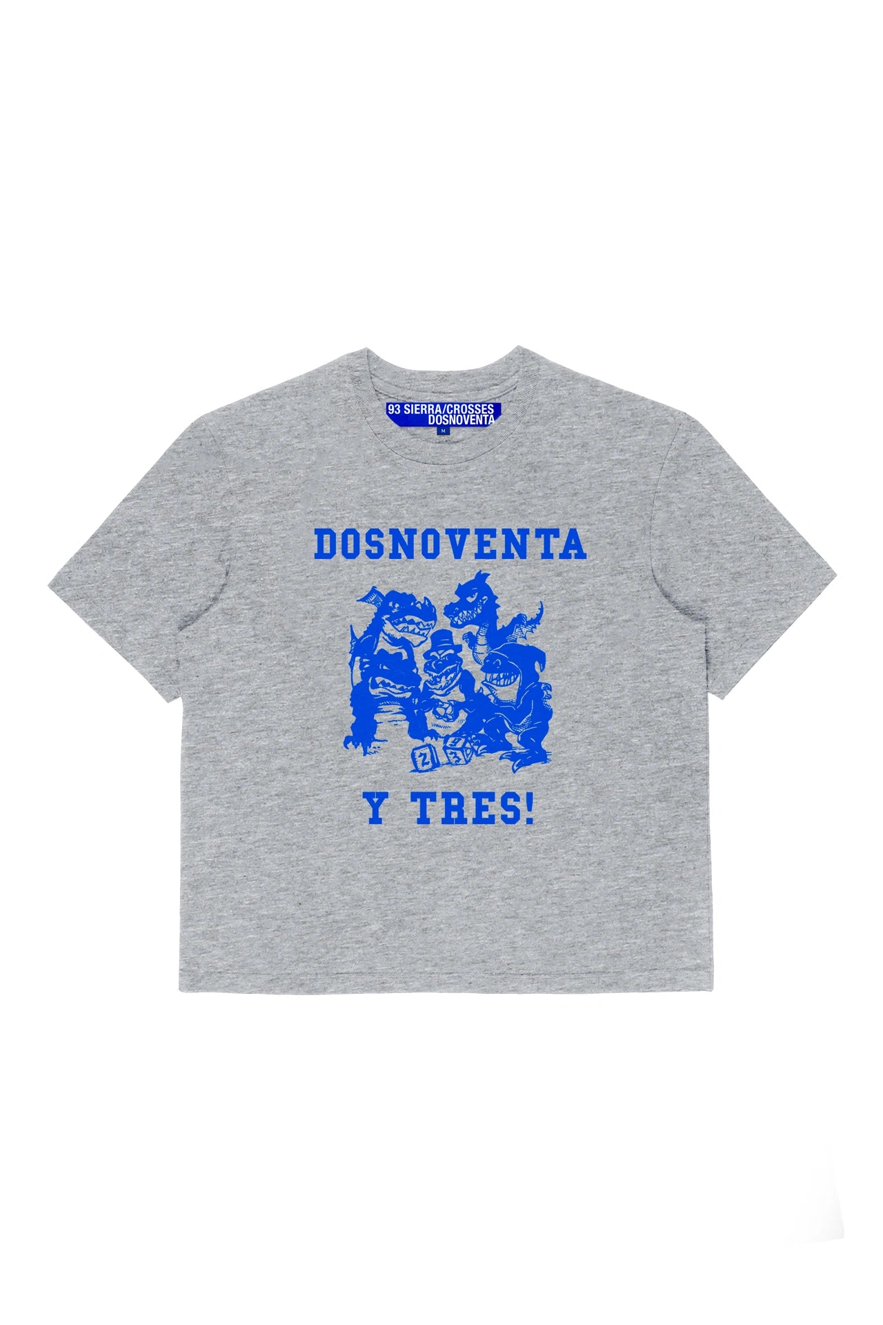 DSNVSC Dice Grey T-shirt