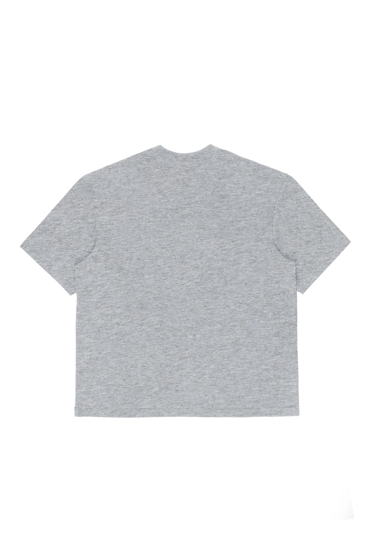 DSNVSC Dice Grey T-shirt