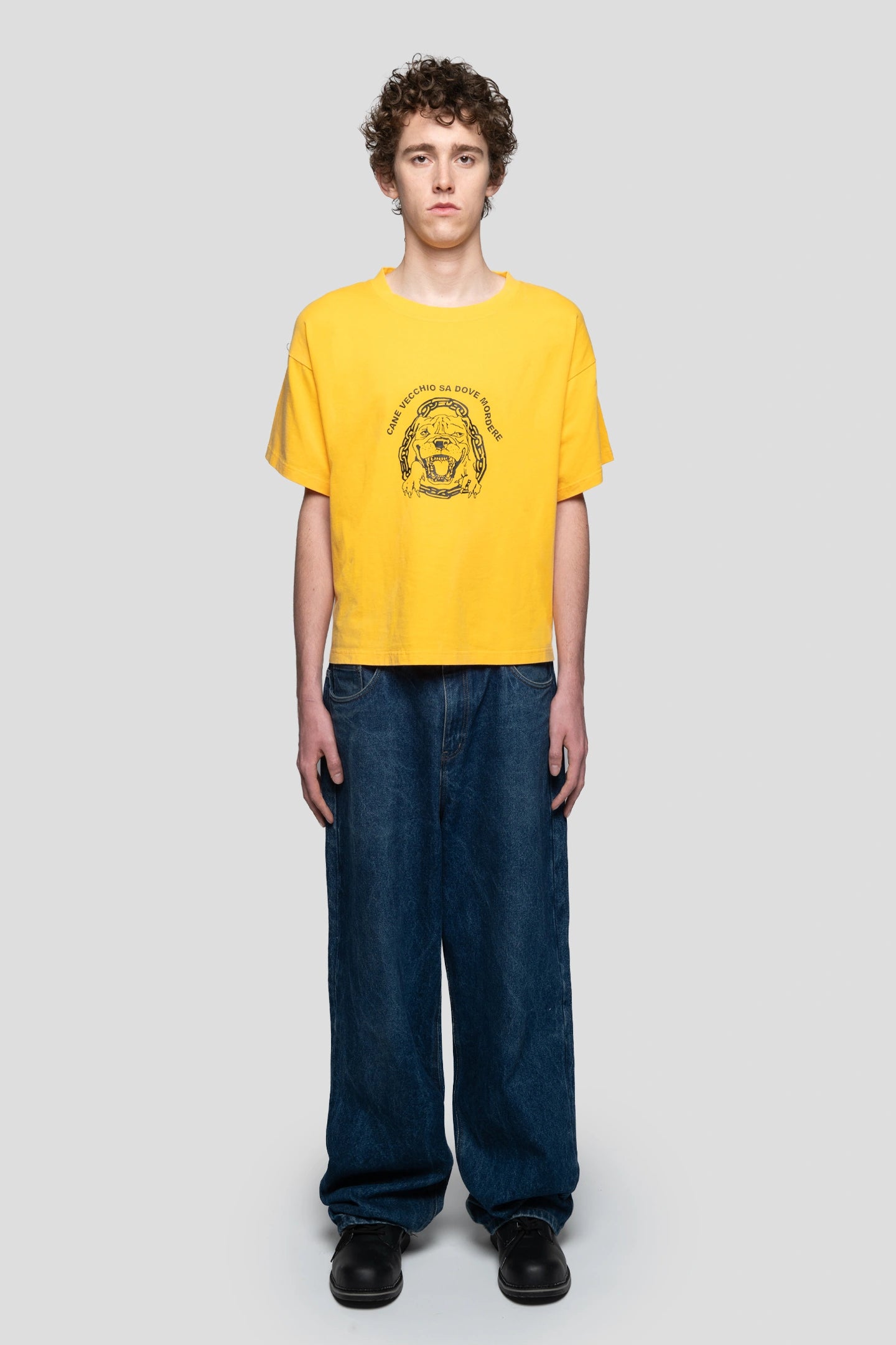 Model wearing a yellow tee with a dog graphic with straight baggy cut jeans