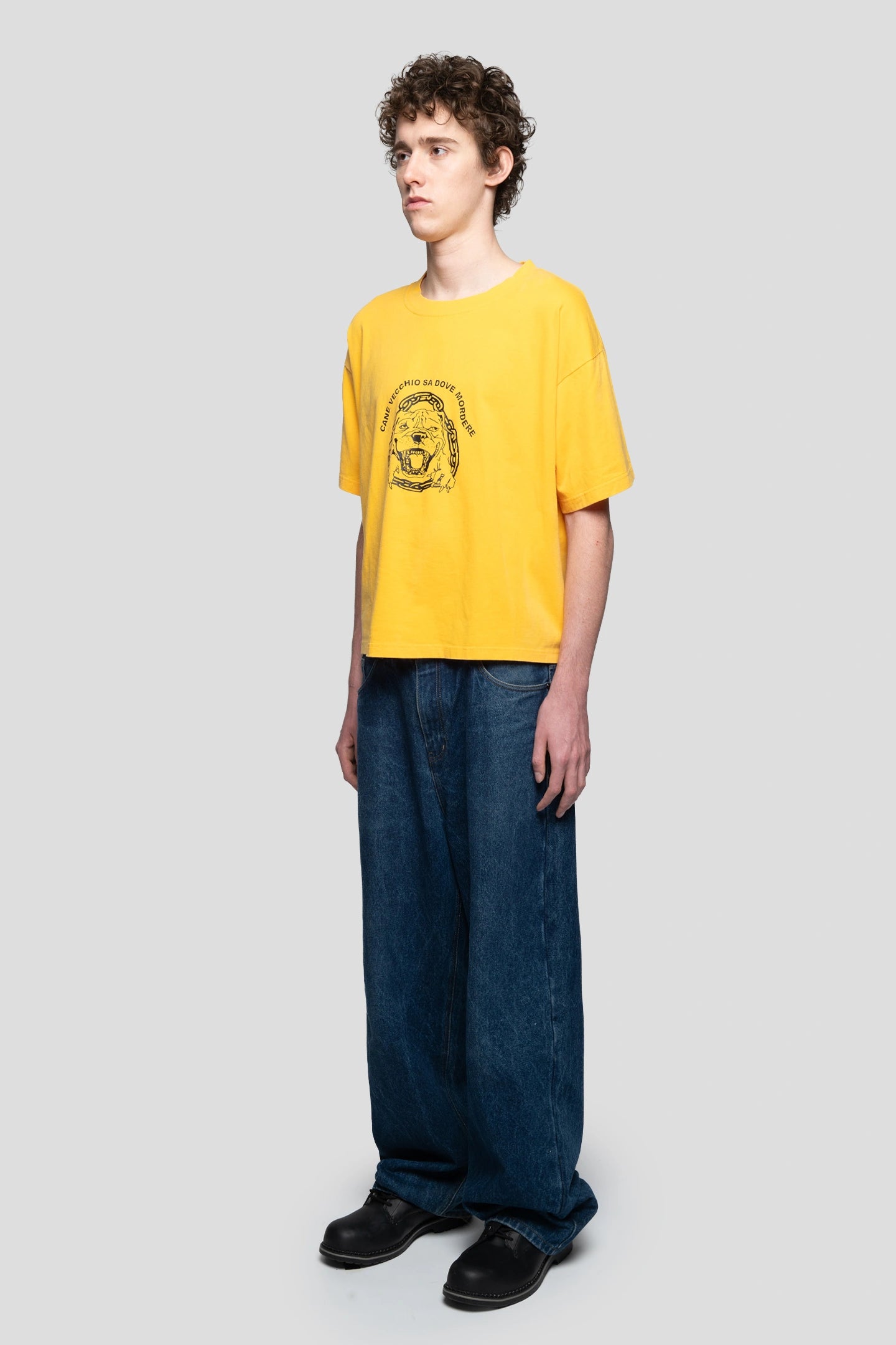 Model wearing a yellow t-shirt with dog grapic and heavyweight cotton jeans working style